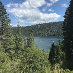 Meet your Posher, Jackson